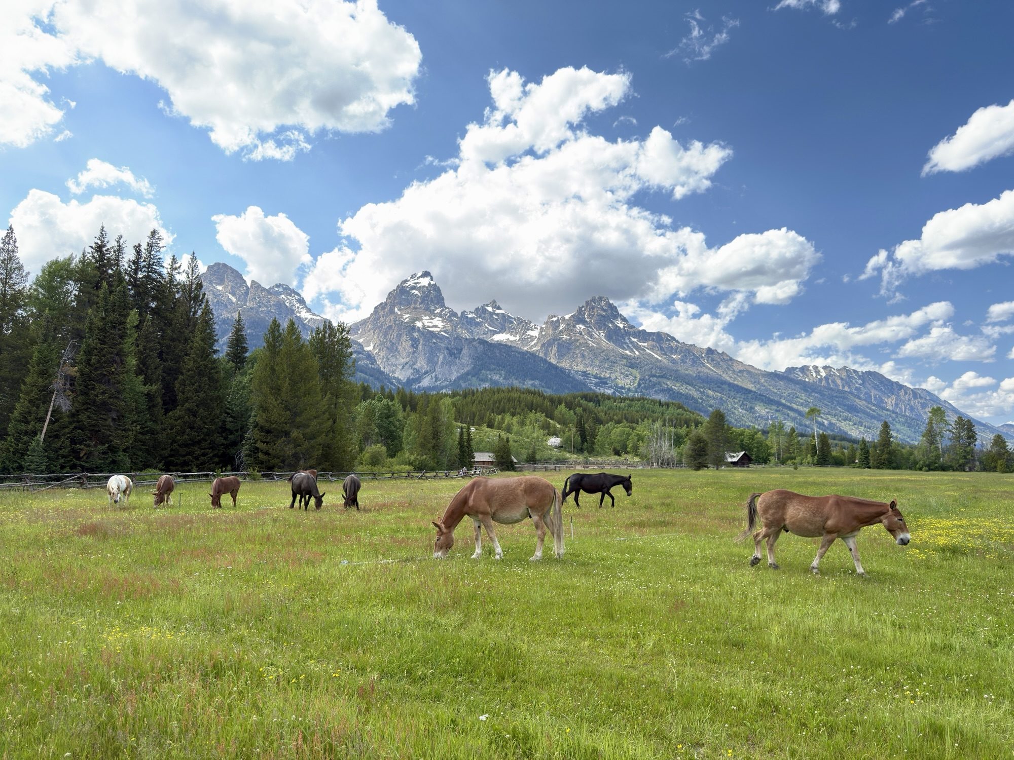 Nature Landscapes - Grand Teton National Park