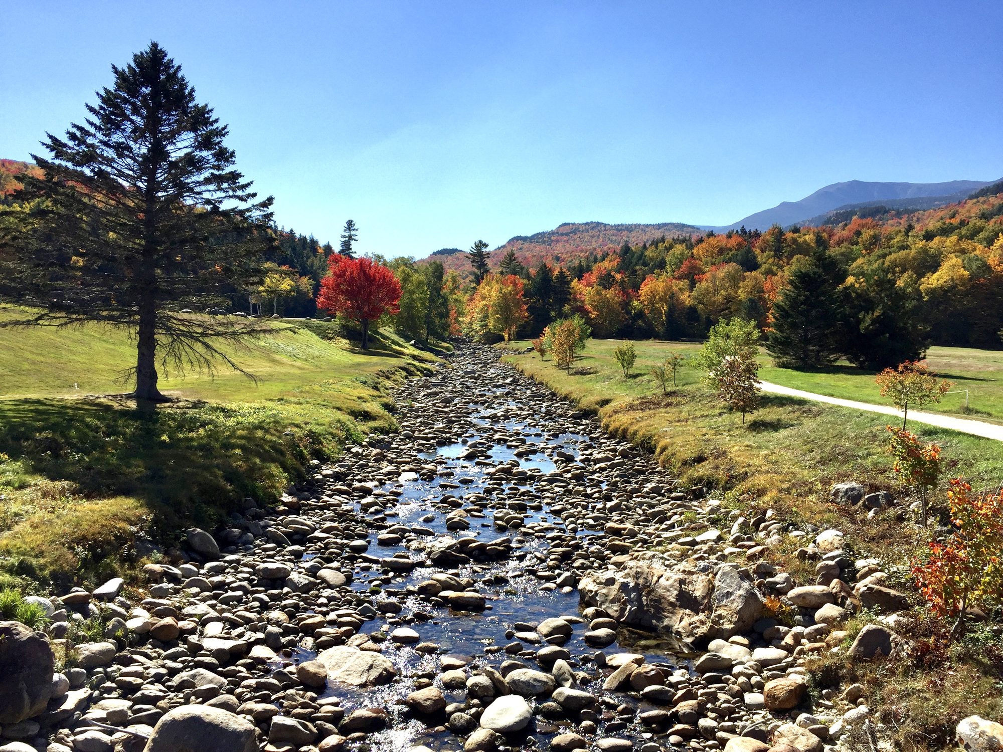 Indian Summer @ Mt. Washington