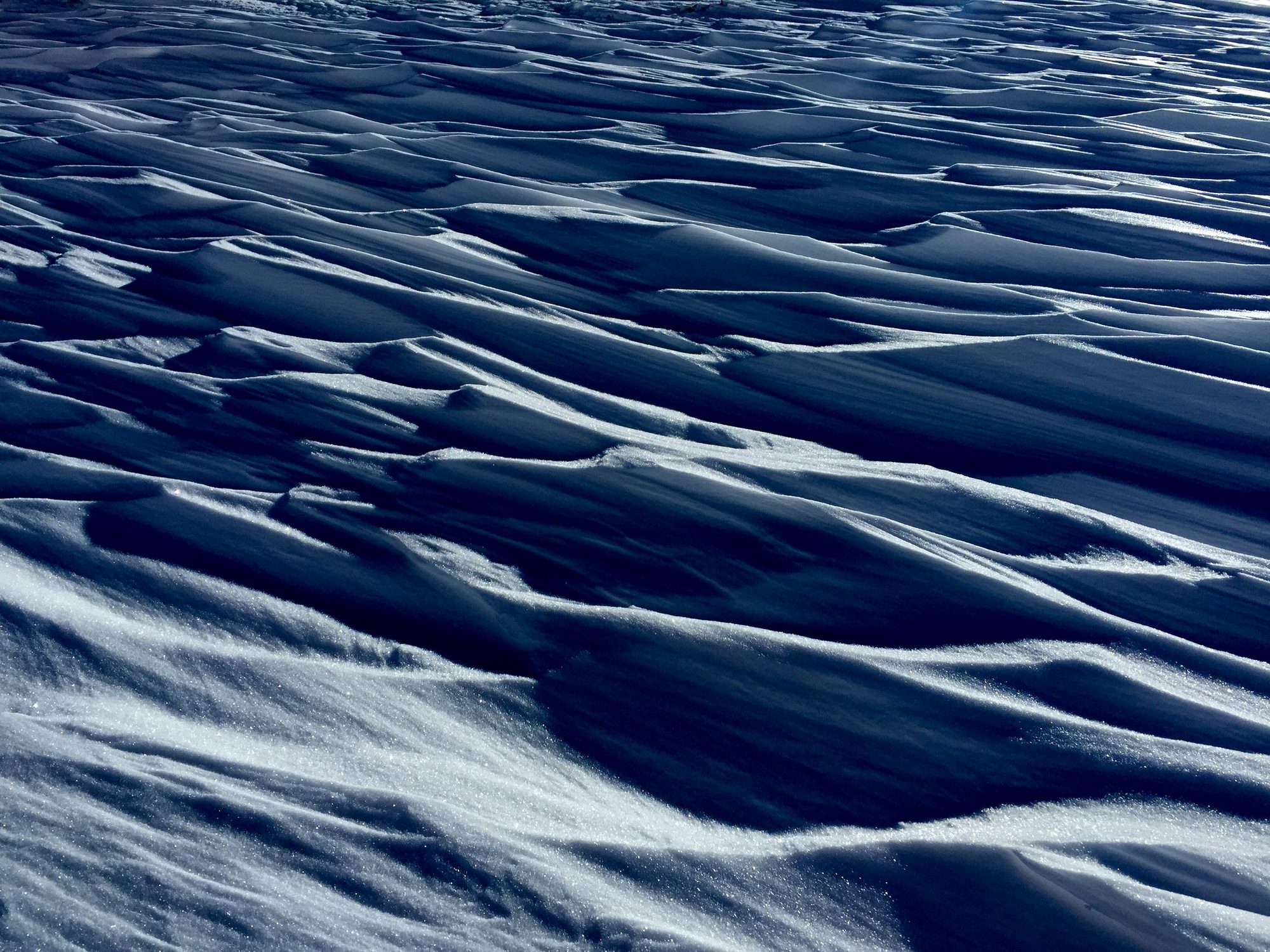 Icy Dune Landscape