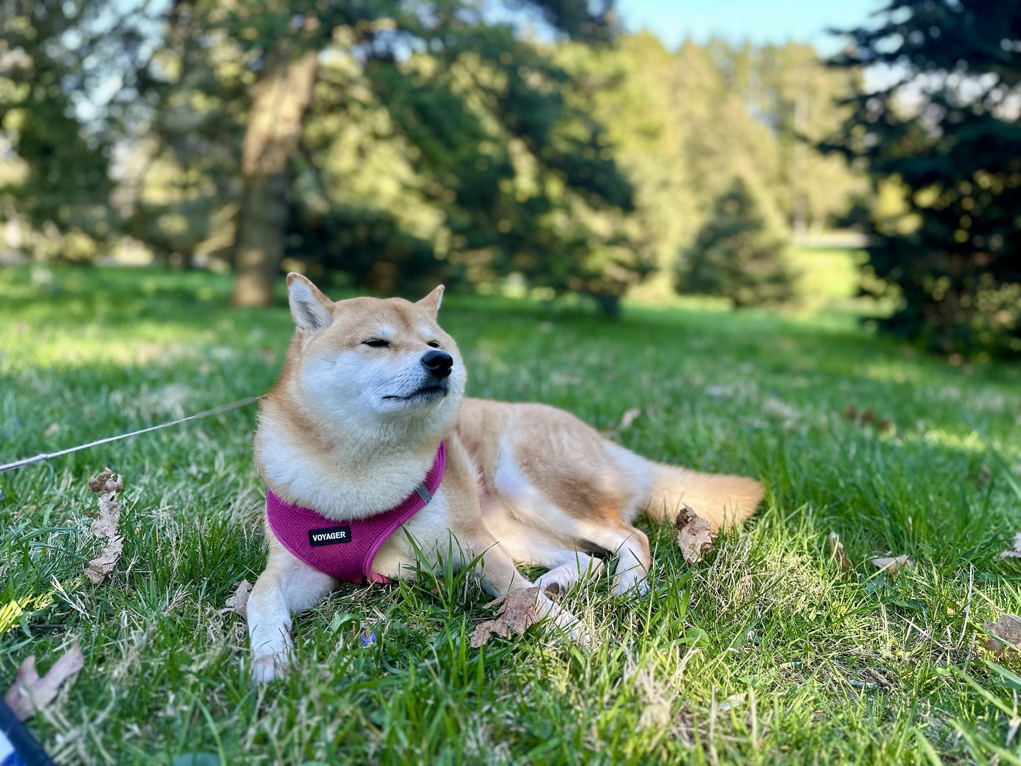 Spring has sprung, and the blog is back!